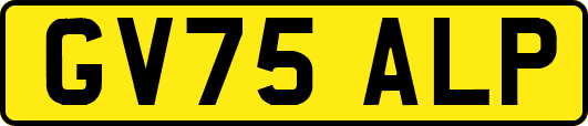GV75ALP
