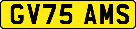 GV75AMS