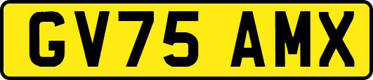 GV75AMX