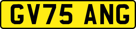 GV75ANG