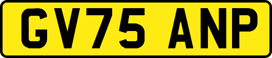 GV75ANP