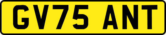 GV75ANT