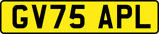 GV75APL