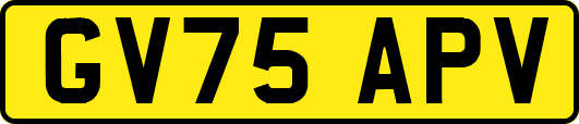 GV75APV