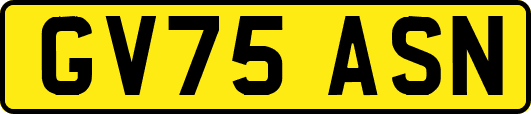 GV75ASN