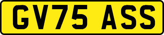 GV75ASS