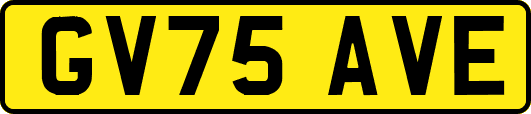 GV75AVE