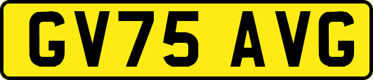 GV75AVG