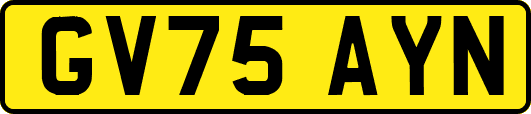 GV75AYN