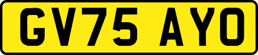 GV75AYO