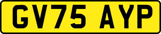 GV75AYP
