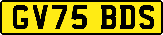 GV75BDS