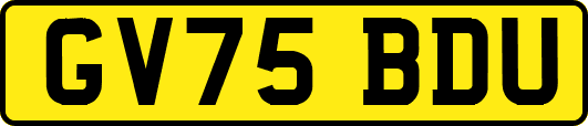 GV75BDU