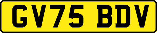 GV75BDV