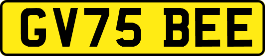 GV75BEE