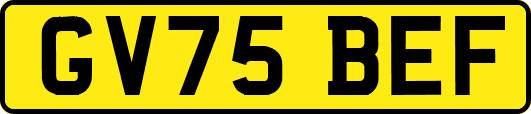 GV75BEF
