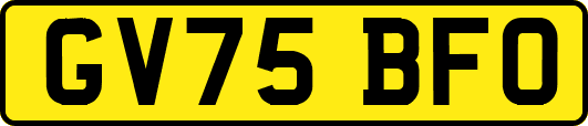 GV75BFO