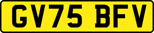 GV75BFV