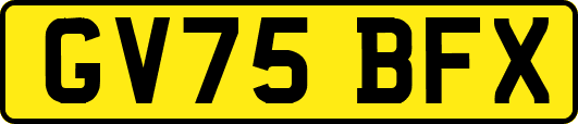 GV75BFX