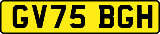 GV75BGH