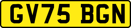GV75BGN