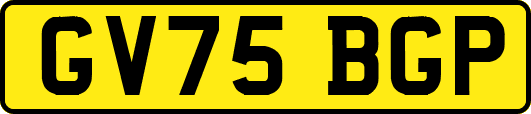GV75BGP