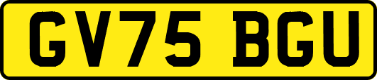 GV75BGU