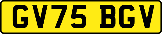 GV75BGV