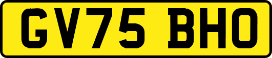 GV75BHO