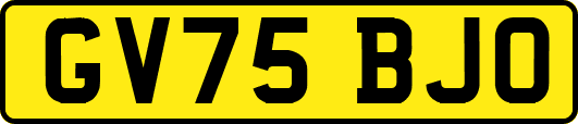 GV75BJO