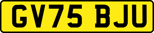 GV75BJU