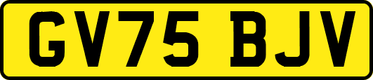 GV75BJV