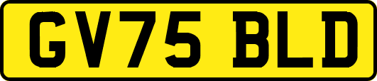 GV75BLD