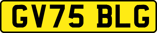 GV75BLG