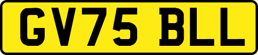 GV75BLL