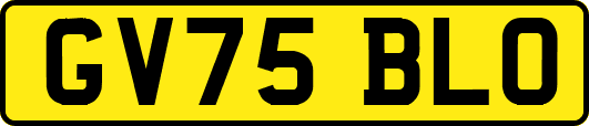 GV75BLO