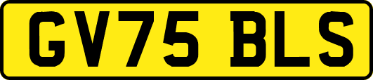 GV75BLS
