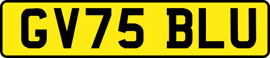 GV75BLU