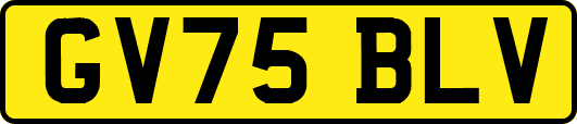 GV75BLV