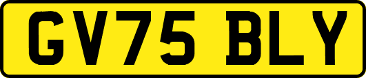 GV75BLY