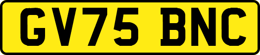 GV75BNC