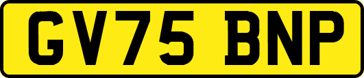GV75BNP