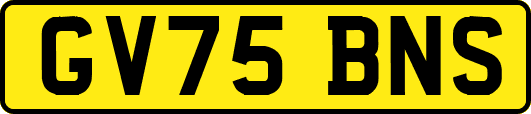 GV75BNS