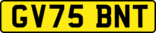 GV75BNT