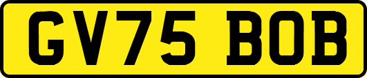 GV75BOB