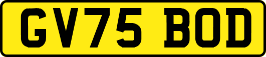 GV75BOD