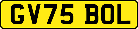 GV75BOL