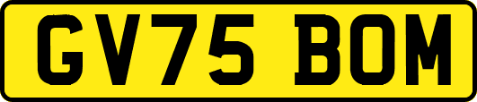 GV75BOM
