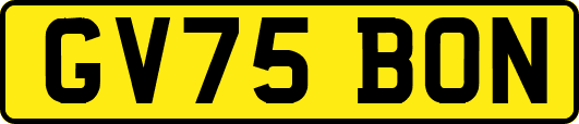 GV75BON