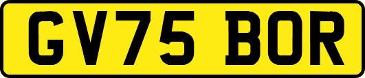 GV75BOR